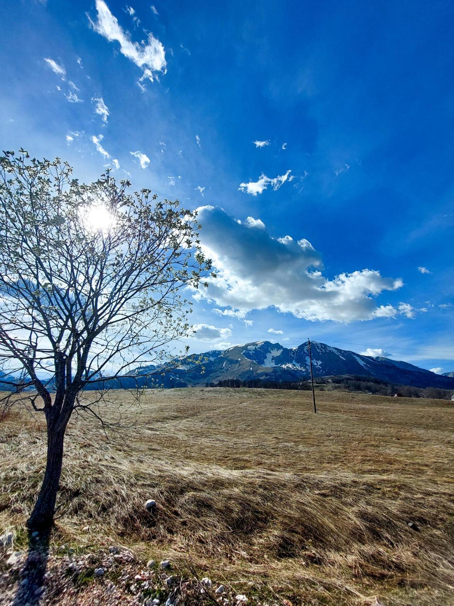 Domacinstvo Krstajic - Rural Holiday Žabljak Esterno foto