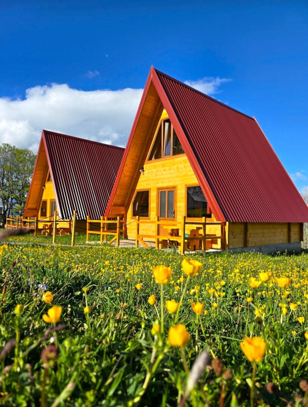 Domacinstvo Krstajic - Rural Holiday Žabljak Esterno foto
