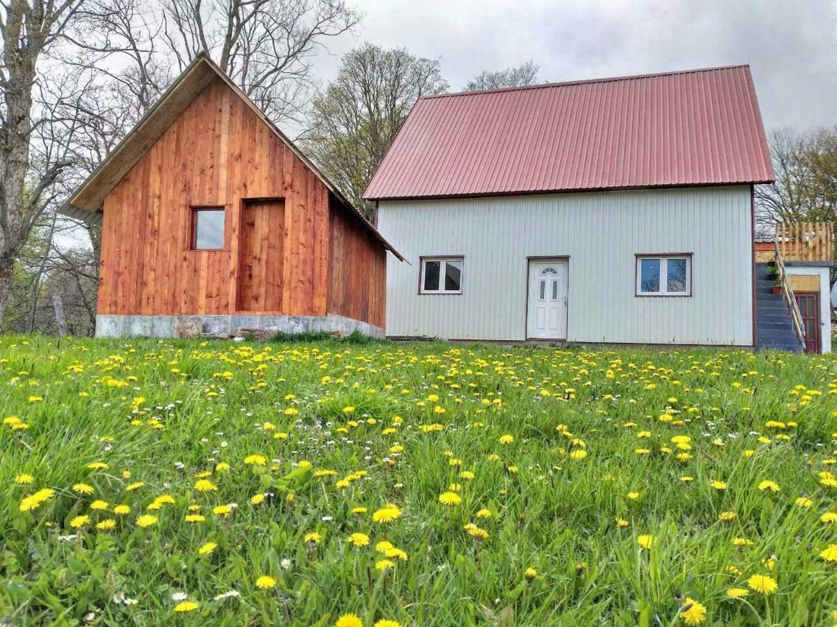Domacinstvo Krstajic - Rural Holiday Žabljak Esterno foto
