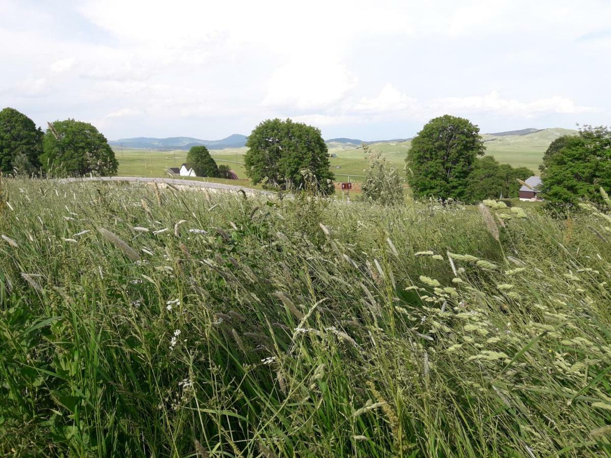 Domacinstvo Krstajic - Rural Holiday Žabljak Esterno foto