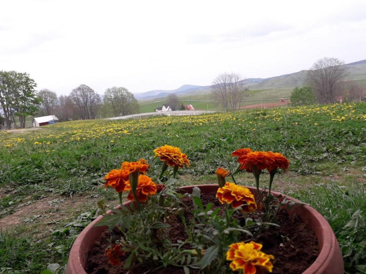 Domacinstvo Krstajic - Rural Holiday Žabljak Esterno foto